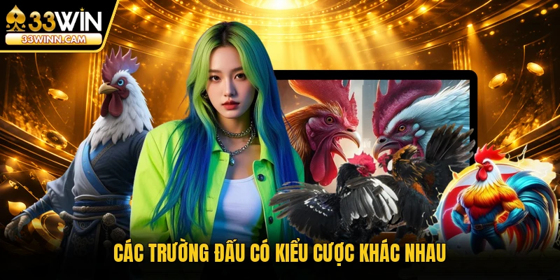 Các trường đấu có kiểu cược khác nhau