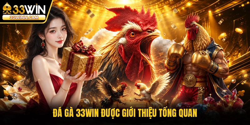Đá gà 33WIN được giới thiệu tổng quan